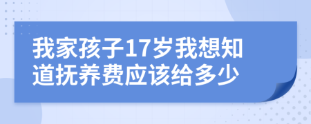 我家孩子17岁我想知道抚养费应该给多少