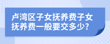 卢湾区子女抚养费子女抚养费一般要交多少?