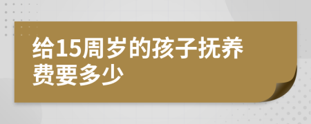 给15周岁的孩子抚养费要多少