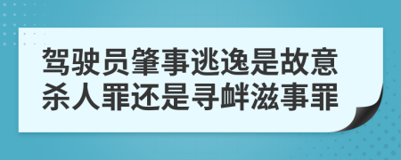 驾驶员肇事逃逸是故意杀人罪还是寻衅滋事罪