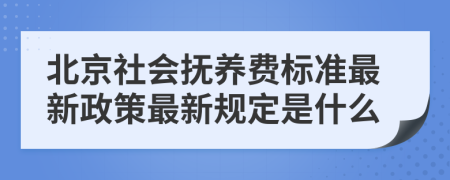 北京社会抚养费标准最新政策最新规定是什么