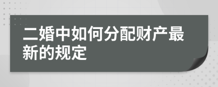 二婚中如何分配财产最新的规定