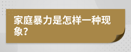 家庭暴力是怎样一种现象？