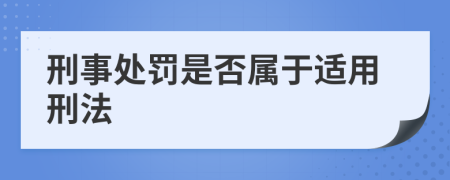 刑事处罚是否属于适用刑法