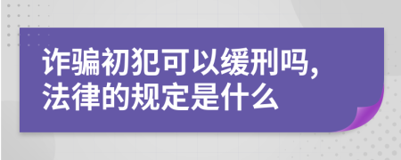 诈骗初犯可以缓刑吗,法律的规定是什么