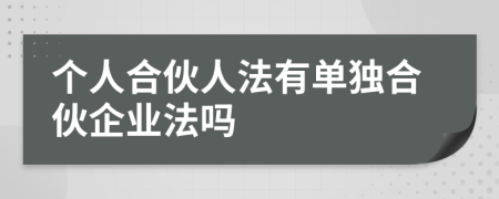 个人合伙人法有单独合伙企业法吗