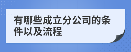 有哪些成立分公司的条件以及流程