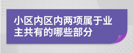 小区内区内两项属于业主共有的哪些部分