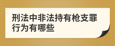 刑法中非法持有枪支罪行为有哪些