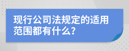 现行公司法规定的适用范围都有什么？