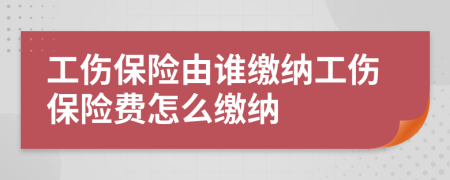 工伤保险由谁缴纳工伤保险费怎么缴纳