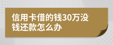 信用卡借的钱30万没钱还款怎么办