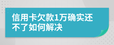 信用卡欠款1万确实还不了如何解决