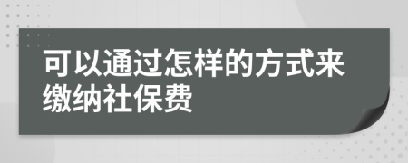 可以通过怎样的方式来缴纳社保费