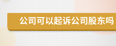 公司可以起诉公司股东吗