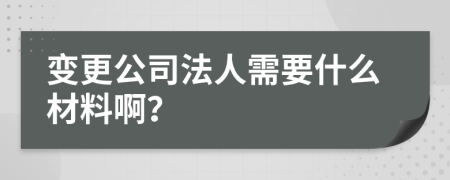 变更公司法人需要什么材料啊？