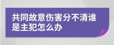 共同故意伤害分不清谁是主犯怎么办