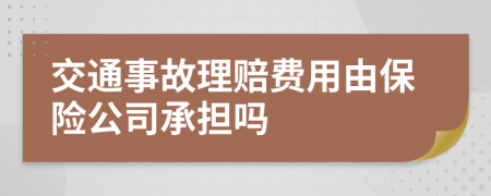 交通事故理赔费用由保险公司承担吗