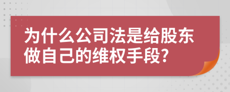 为什么公司法是给股东做自己的维权手段?