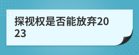 探视权是否能放弃2023