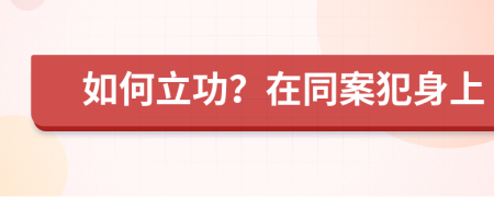如何立功？在同案犯身上