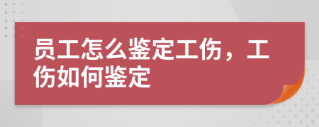 员工怎么鉴定工伤，工伤如何鉴定