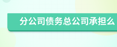 分公司债务总公司承担么
