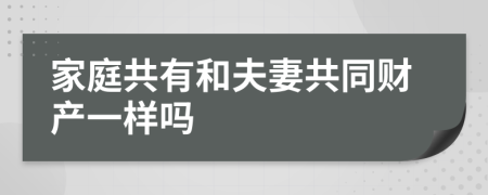 家庭共有和夫妻共同财产一样吗