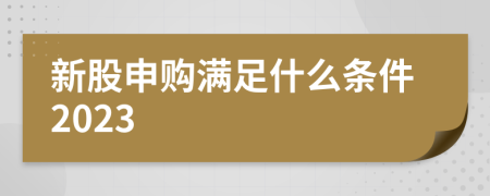 新股申购满足什么条件2023