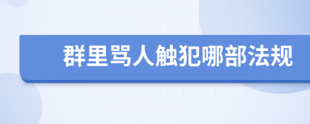 群里骂人触犯哪部法规