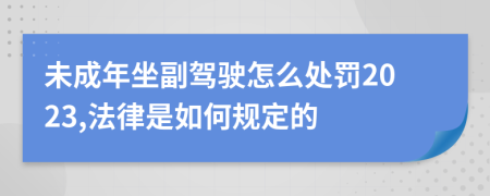 未成年坐副驾驶怎么处罚2023,法律是如何规定的