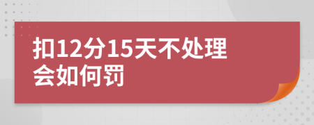 扣12分15天不处理会如何罚