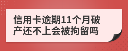 信用卡逾期11个月破产还不上会被拘留吗