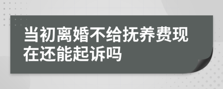 当初离婚不给抚养费现在还能起诉吗