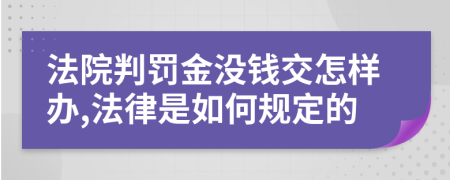 法院判罚金没钱交怎样办,法律是如何规定的