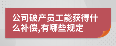 公司破产员工能获得什么补偿,有哪些规定