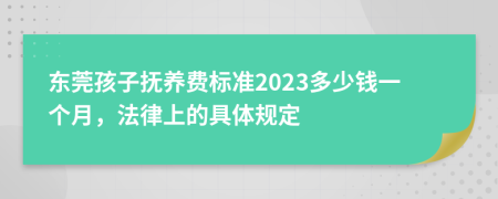 东莞孩子抚养费标准2023多少钱一个月，法律上的具体规定