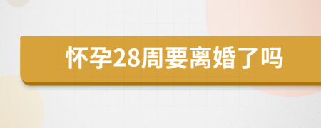 怀孕28周要离婚了吗