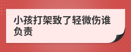 小孩打架致了轻微伤谁负责