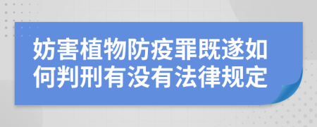 妨害植物防疫罪既遂如何判刑有没有法律规定