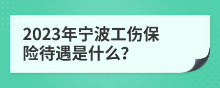 2023年宁波工伤保险待遇是什么？