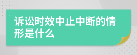 诉讼时效中止中断的情形是什么