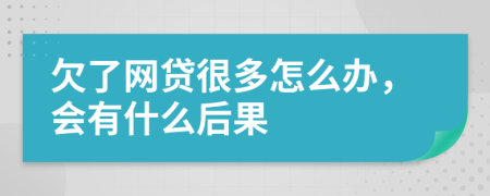 欠了网贷很多怎么办，会有什么后果