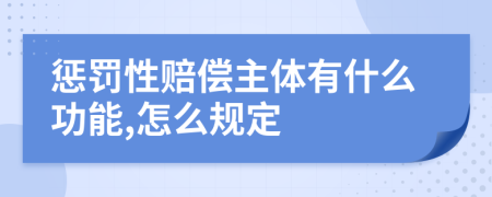 惩罚性赔偿主体有什么功能,怎么规定