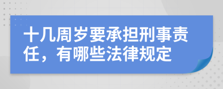 十几周岁要承担刑事责任，有哪些法律规定