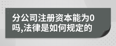 分公司注册资本能为0吗,法律是如何规定的