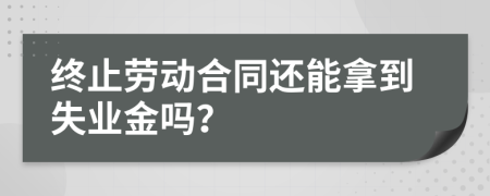 终止劳动合同还能拿到失业金吗？