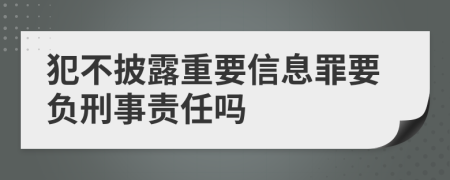 犯不披露重要信息罪要负刑事责任吗