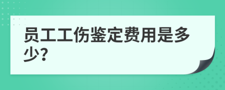 员工工伤鉴定费用是多少？