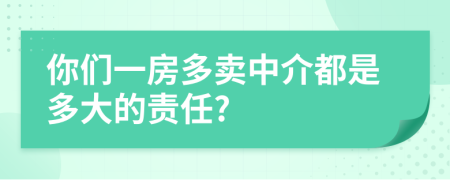 你们一房多卖中介都是多大的责任?